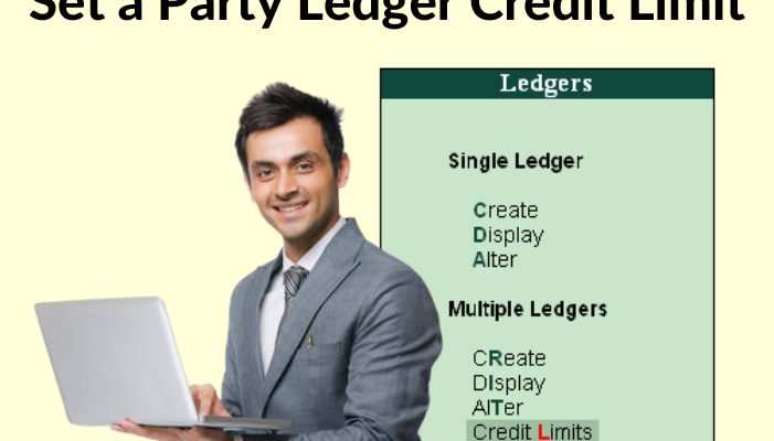 How to Set a Party Ledger Credit Limit