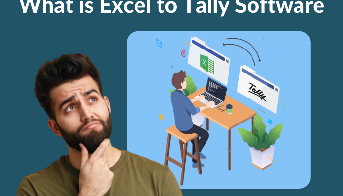 What is excel to tally software